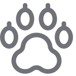 Paw SVG Icon
